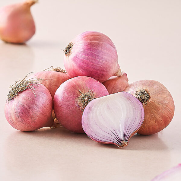 Onion - Image 4