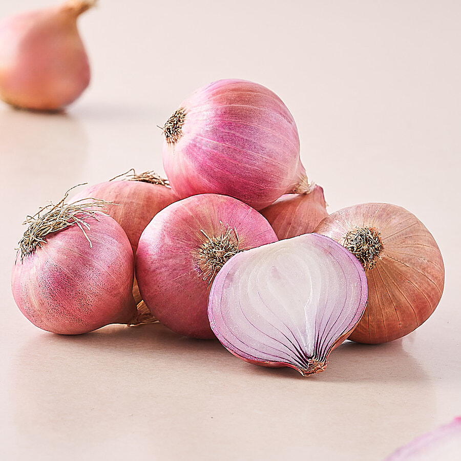 Onion - Image 4