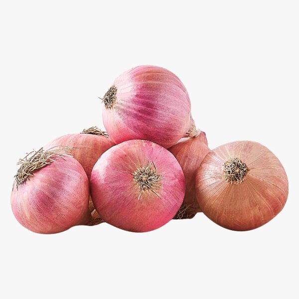 Onion