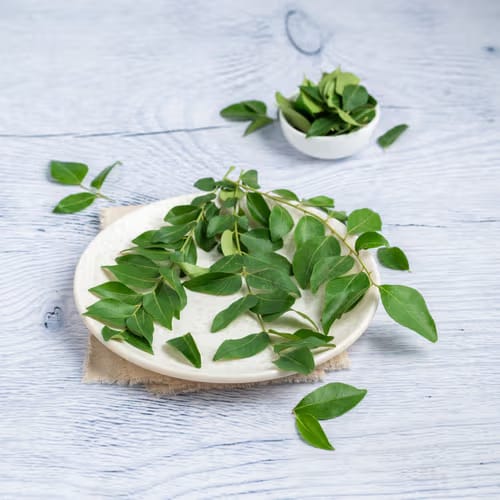 Curry Leaves - Image 3