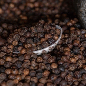Black Pepper