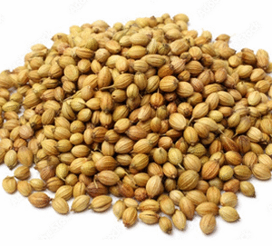 Coriander Seeds